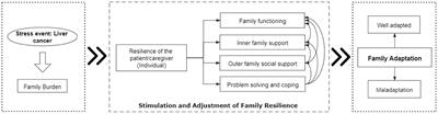 Evaluation of Psychosocial Pathways to Family Adaptation of Chinese Patients With Liver Cancer Using the McCubbin's Family Resilience Model